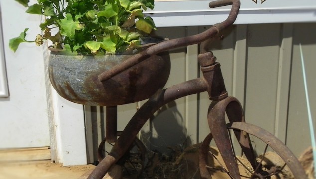 old ticycle with metal bowl attached.