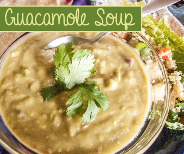 Guacamole Soup