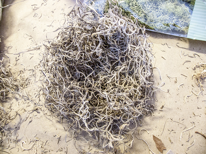 How to make a moss bird's nest