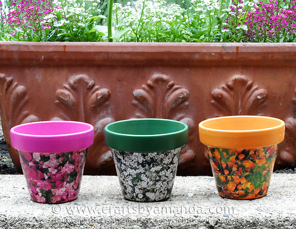 Seed Packet Clay Pots DIY from Crafts by Amanda