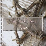 Twig and Twine Star