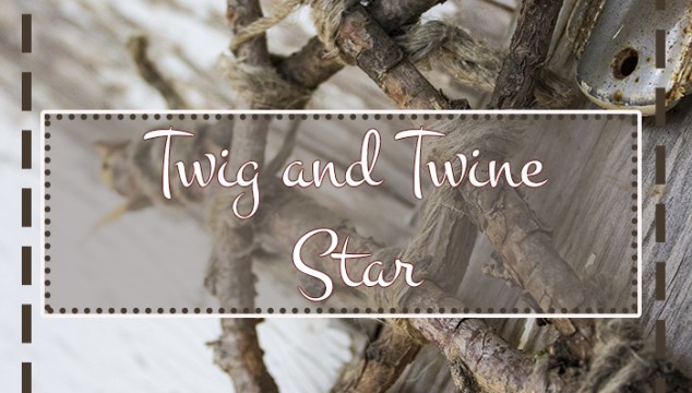 Twig and Twine Star