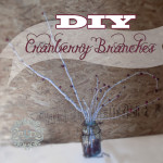 Diy Cranberry Branches