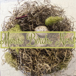 How to Make a Moss Bird’s Nest